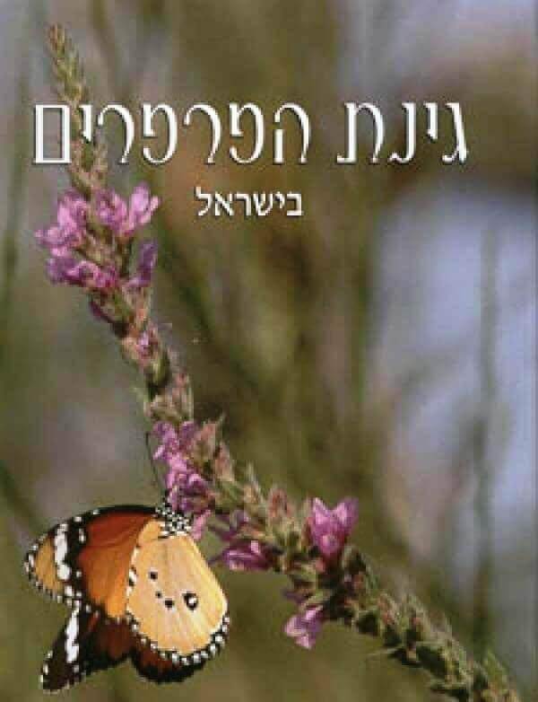 גינת הפרפרים בישראל דובי בנימני